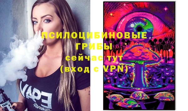спиды Богданович