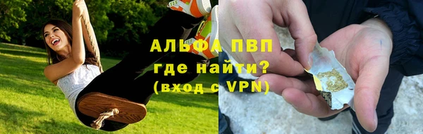 стафф Богородск