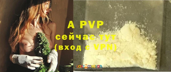 спиды Богданович