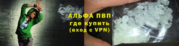 спиды Богданович