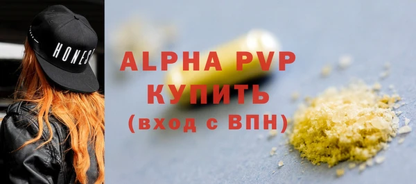 спиды Богданович