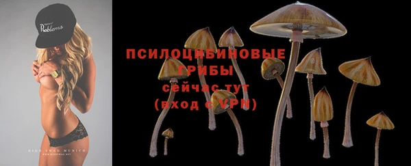 соль ск Усмань