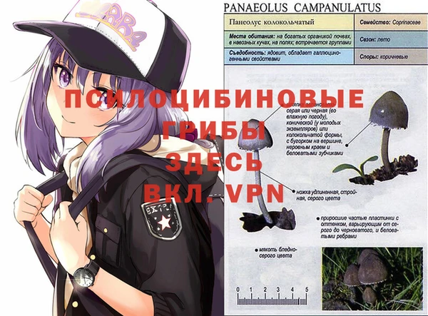 прущая мука Богородицк
