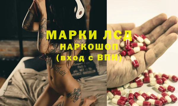 спиды Богданович
