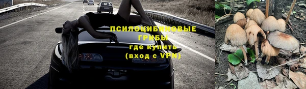 прущая мука Богородицк