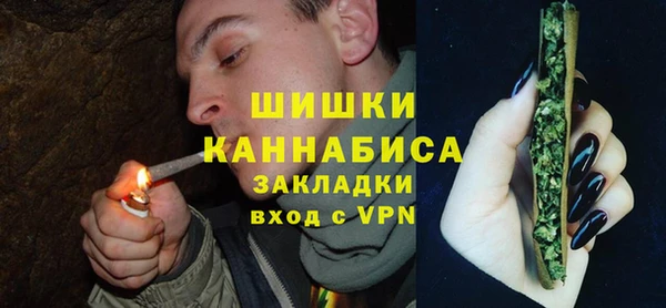 спиды Богданович