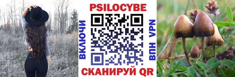 Галлюциногенные грибы Psilocybine cubensis  купить   Красновишерск 